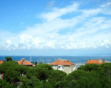 Galerija slik